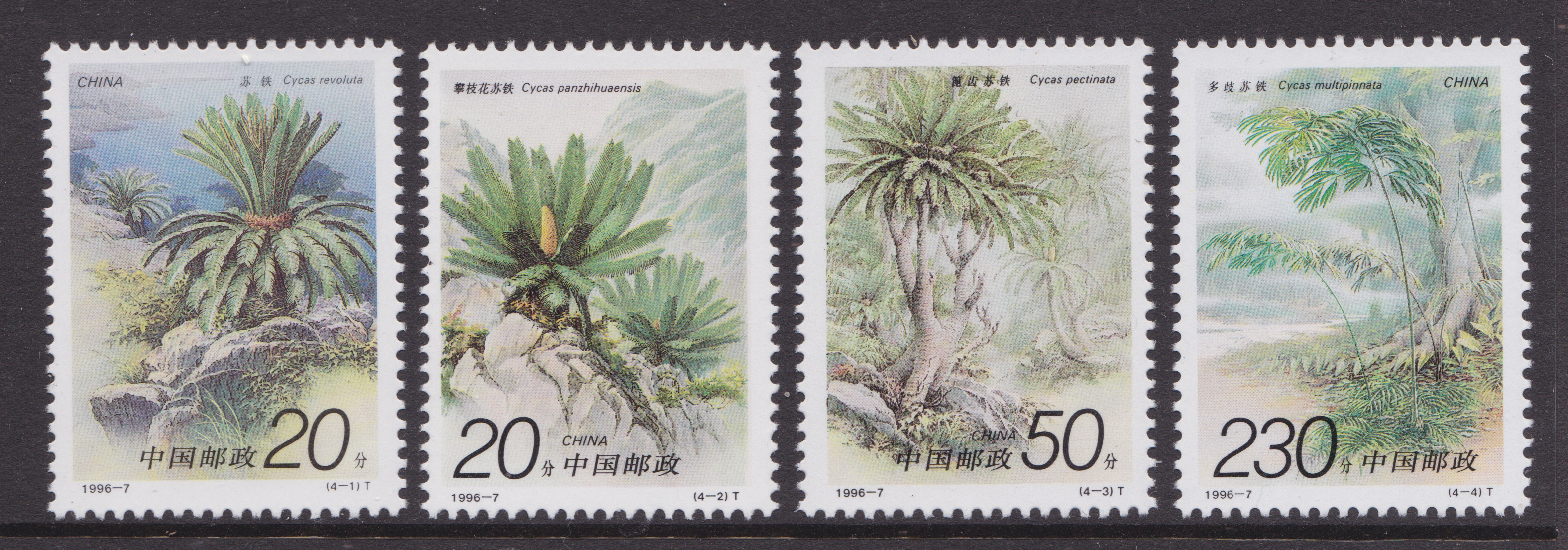1996-7 Cycads, Scott 2671-74...